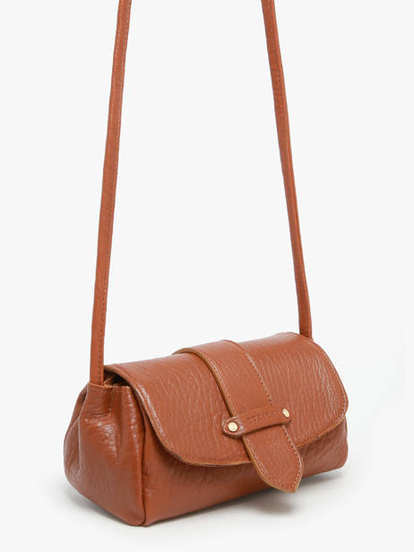 Shoulder Bag S Agnes Leather Etrier Brown agnes EAGC205S other view 5